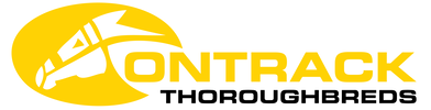 OnTrack Thoroughbreds | Racing & Bloodstock Consultants |